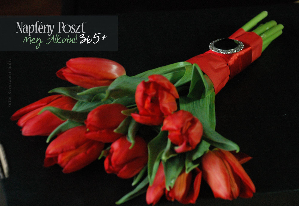 tulipan es bross nyito01